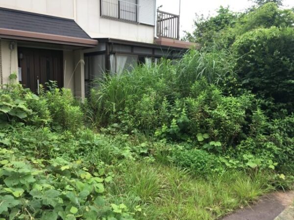 【加古川】空き家の不動産買取で放置リスクを回避する価格と業者選びのコツサムネイル